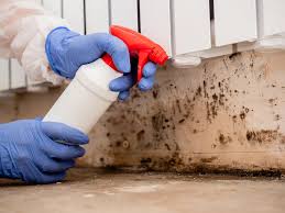 Best Forensic Mold Investigation in Wautoma, WI